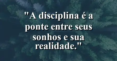 A disciplina é a ponte entre seus sonhos e sua realidade.