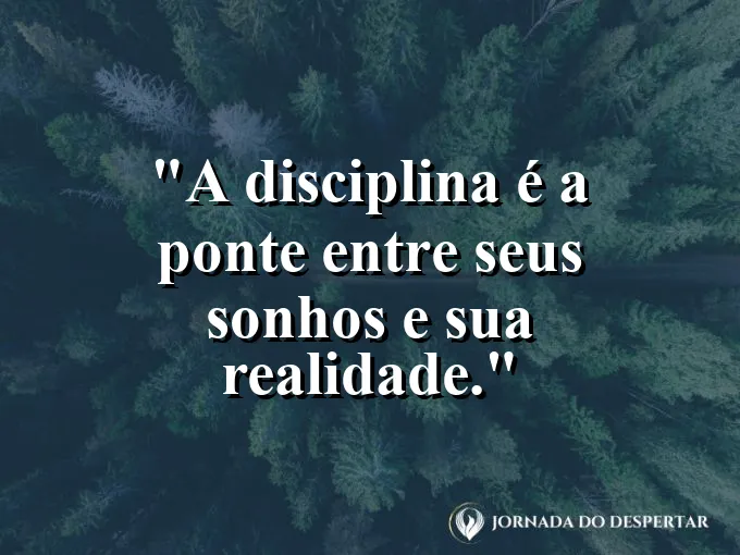 Ponte de concreto sólida atravessando um vale profundo.