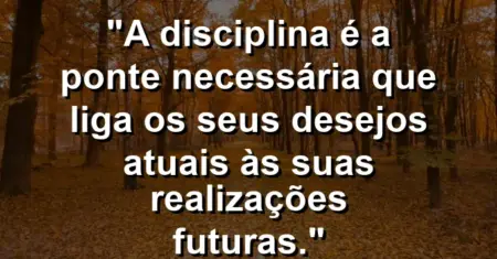“A disciplina é a ponte necessária que liga os seus desejos atuais às suas realizações futuras.”