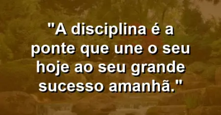 “A disciplina é a ponte que une o seu hoje ao seu grande sucesso amanhã.”
