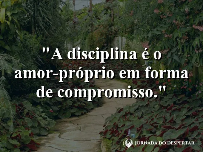 Prato de comida saudável e um copo de água sobre a mesa.