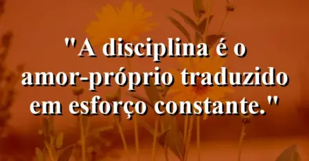A disciplina é o amor-próprio traduzido em esforço constante.