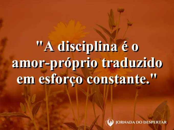 Escritório limpo e organizado com luz natural entrando.