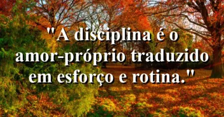 A disciplina é o amor-próprio traduzido em esforço e rotina.