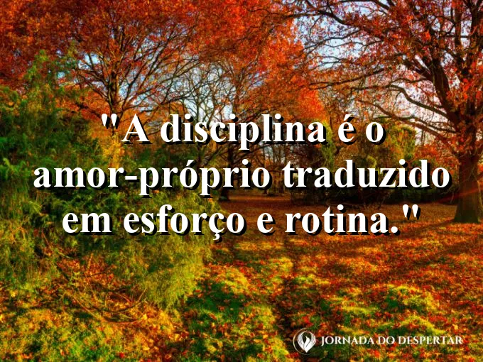 Prato de comida colorida e saudável sobre uma mesa limpa.