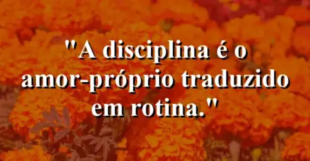 A disciplina é o amor-próprio traduzido em rotina.