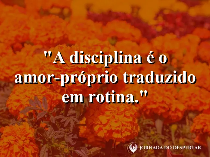 Prato de comida colorida e água sobre uma mesa limpa.
