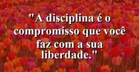 A disciplina é o compromisso que você faz com a sua liberdade.