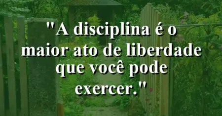 A disciplina é o maior ato de liberdade que você pode exercer.