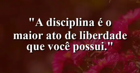 A disciplina é o maior ato de liberdade que você possui.