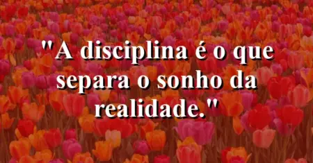 A disciplina é o que separa o sonho da realidade.