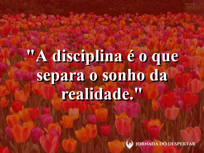 Um par de luvas de academia sobre um banco de madeira.