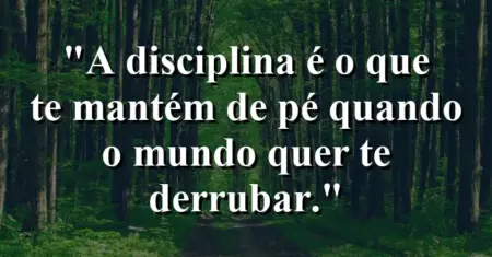 A disciplina é o que te mantém de pé quando o mundo quer te derrubar.