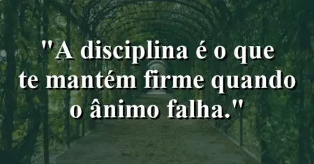A disciplina é o que te mantém firme quando o ânimo falha.