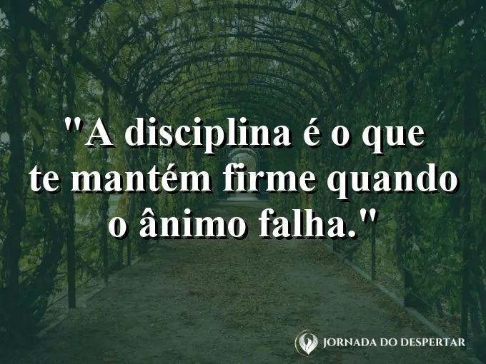 Um despertador e um livro de estudos sobre a mesa ao amanhecer.