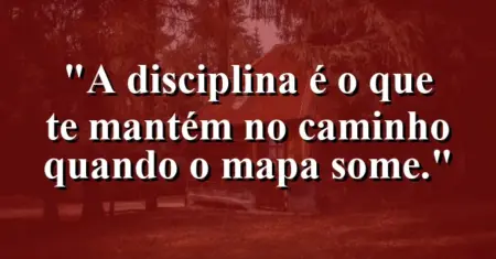 A disciplina é o que te mantém no caminho quando o mapa some.