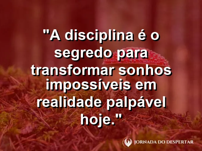 Arquiteto desenhando projeto complexo com frase sobre disciplina e realidade.