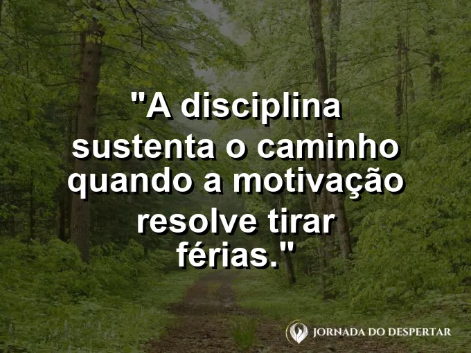 Imagem com frase sobre disciplina quando a motivação desaparece.