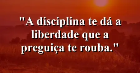 A disciplina te dá a liberdade que a preguiça te rouba.