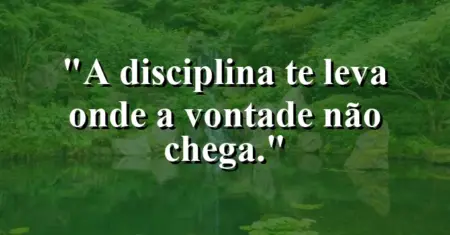 A disciplina te leva onde a vontade não chega.