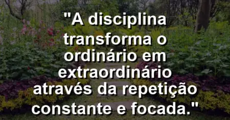 “A disciplina transforma o ordinário em extraordinário através da repetição constante e focada.”