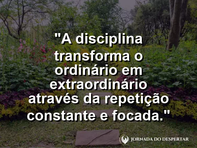 Gota de água esculpindo uma pedra de cristal com frase sobre disciplina e extraordinário.