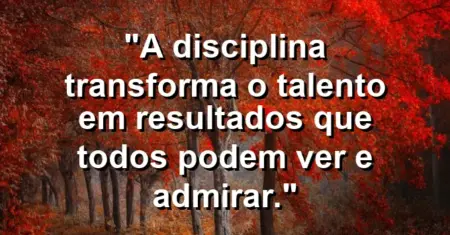 “A disciplina transforma o talento em resultados que todos podem ver e admirar.”
