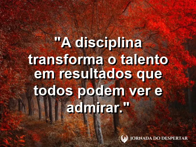 Diamante sendo lapidado por ferramentas de precisão com frase sobre talento e disciplina.