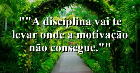 “A disciplina vai te levar onde a motivação não consegue.”
