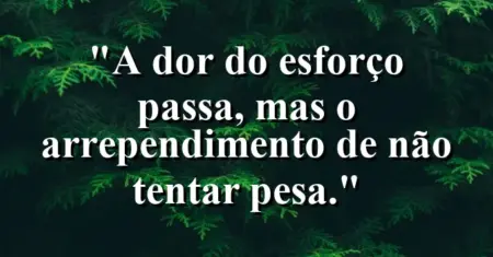 “A dor do esforço passa, mas o arrependimento de não tentar pesa.”