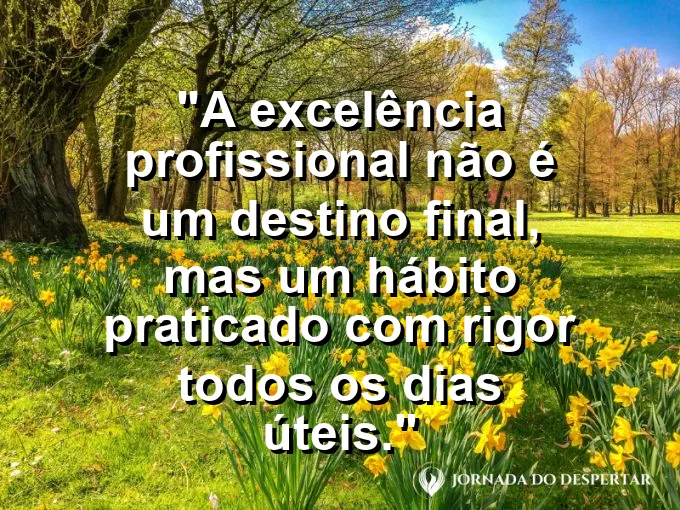 Um artesão detalhando uma peça de madeira com ferramentas manuais precisas em um estúdio muito bem iluminado e limpo.