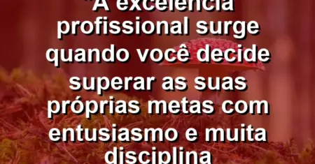 “A excelência profissional surge quando você decide superar as suas próprias metas com entusiasmo e muita disciplina constante.”