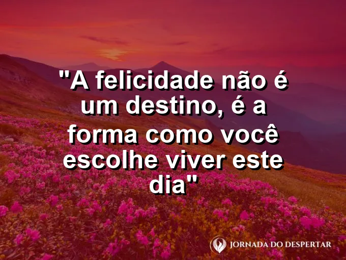 bom-dia-felicidade-nao-destino-escolha-viver-dia