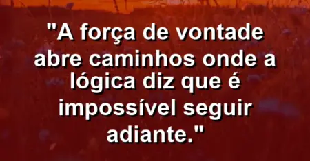 “A força de vontade abre caminhos onde a lógica diz que é impossível seguir adiante.”