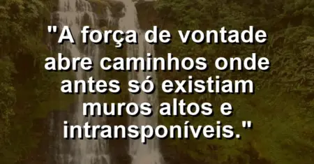 “A força de vontade abre caminhos onde antes só existiam muros altos e intransponíveis.”