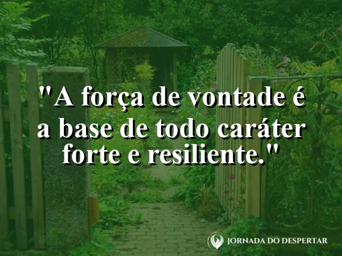 Estátua de pedra sólida sob chuva forte com frase sobre caráter e vontade.