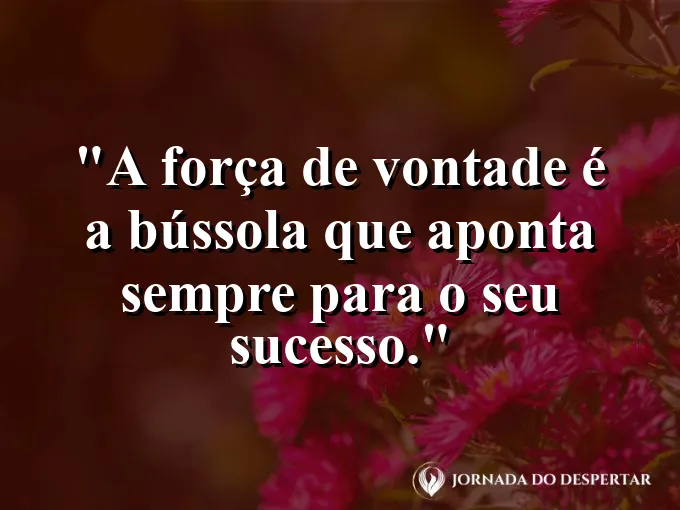 Bússola dourada brilhando em uma floresta escura com frase sobre vontade e sucesso.