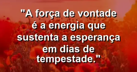 “A força de vontade é a energia que sustenta a esperança em dias de tempestade.”