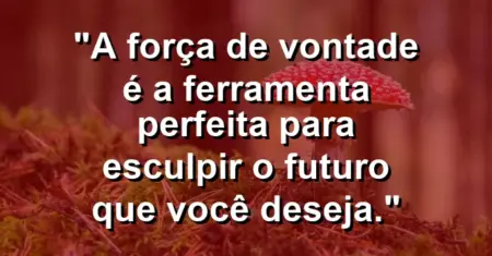 “A força de vontade é a ferramenta perfeita para esculpir o futuro que você deseja.”