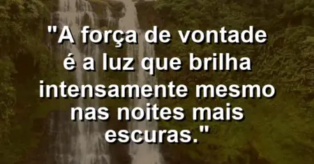 “A força de vontade é a luz que brilha intensamente mesmo nas noites mais escuras.”