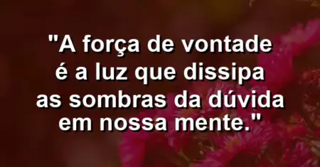 “A força de vontade é a luz que dissipa as sombras da dúvida em nossa mente.”