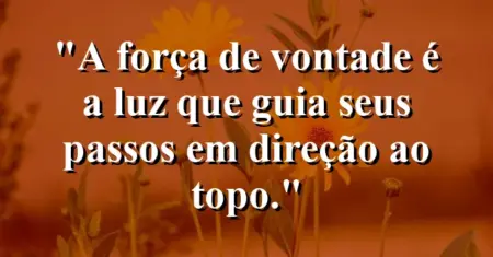 “A força de vontade é a luz que guia seus passos em direção ao topo.”