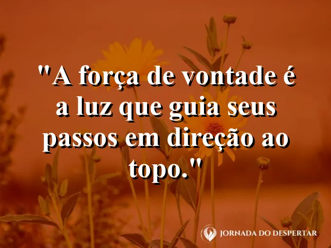 Pessoa segurando uma tocha subindo uma escada de pedra com frase sobre luz e topo.