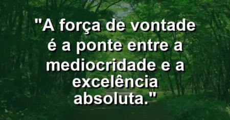 “A força de vontade é a ponte entre a mediocridade e a excelência absoluta.”