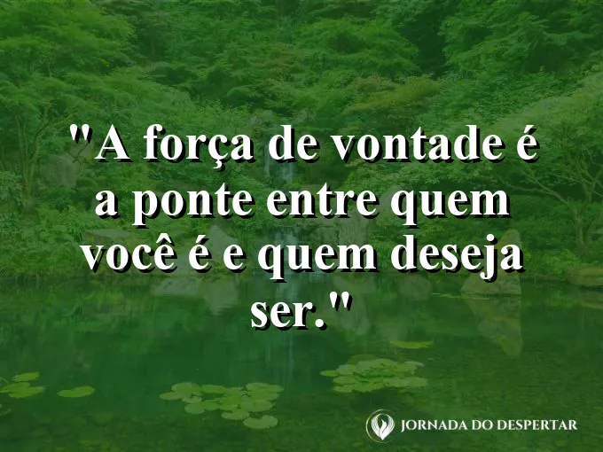 Sombra de um gato projetando um leão na parede com frase sobre ponte e desejo.
