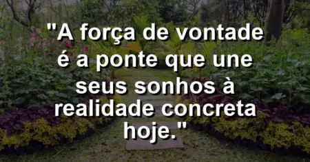 “A força de vontade é a ponte que une seus sonhos à realidade concreta hoje.”