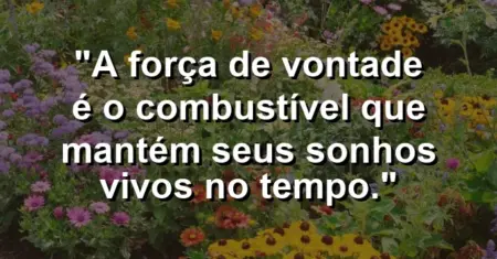 “A força de vontade é o combustível que mantém seus sonhos vivos no tempo.”