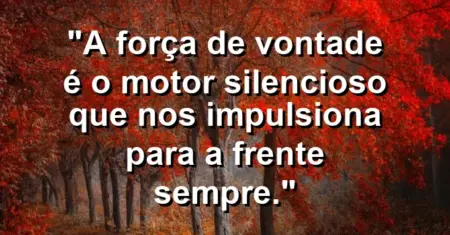“A força de vontade é o motor silencioso que nos impulsiona para a frente sempre.”