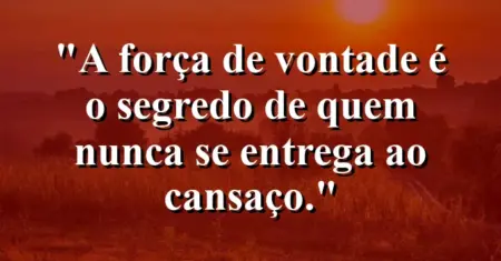 “A força de vontade é o segredo de quem nunca se entrega ao cansaço.”