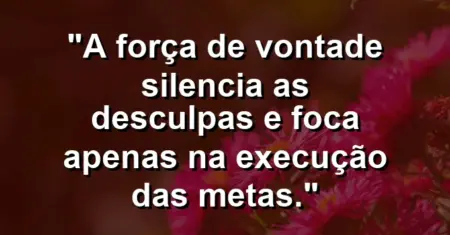“A força de vontade silencia as desculpas e foca apenas na execução das metas.”